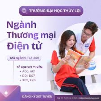 Giới thiệu ngành Thương mại điện tử tại TLU